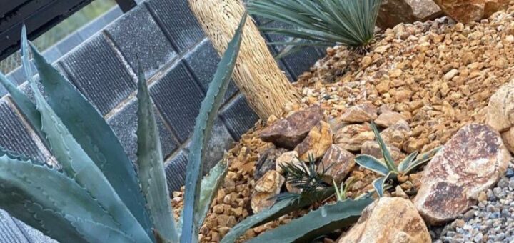 土曜日に、小さなお子さん連れた若いお父さんが、隣町からご来店頂いきました