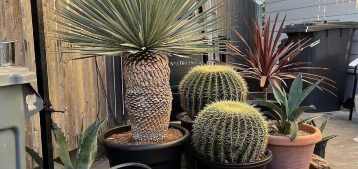 家具デザイナーとしても活躍されてる方に、岐阜石 の400-500mmをご注文いただきました。