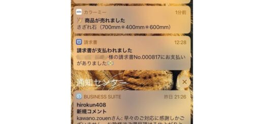 さざれ石をポチってお買い上げいただきました