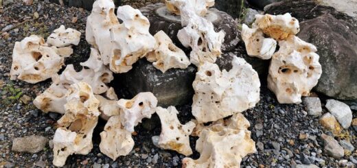 line公式アカウント からのお問い合わせで、コーラルロック が気になるけど、サイズとかがどうなってるの？というご質問