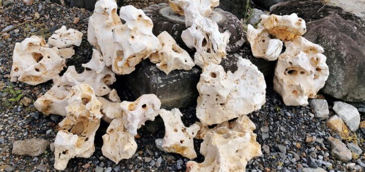 line公式アカウント からのお問い合わせで、コーラルロック が気になるけど、サイズとかがどうなってるの？というご質問