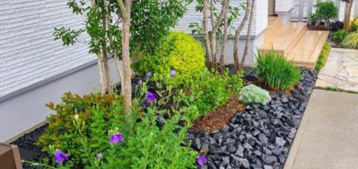 福岡県の方が、揖斐青黒割栗石をお買い上げ頂きました。