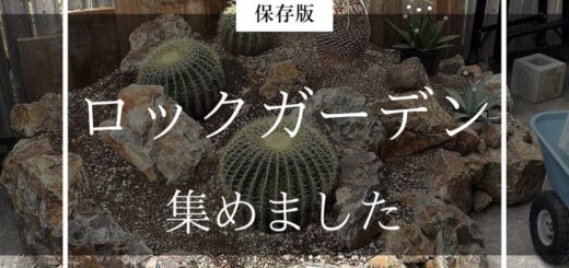 ロックガーデン、集めました