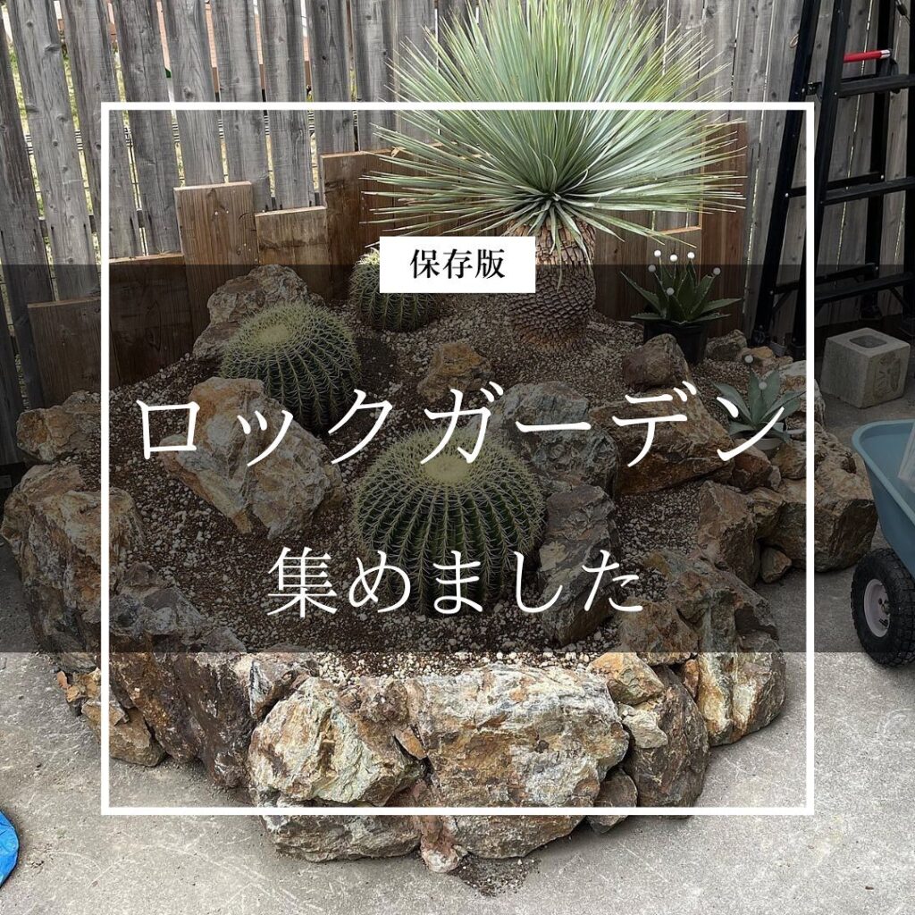 ロックガーデン、集めました 1 ロックガーデン集めました