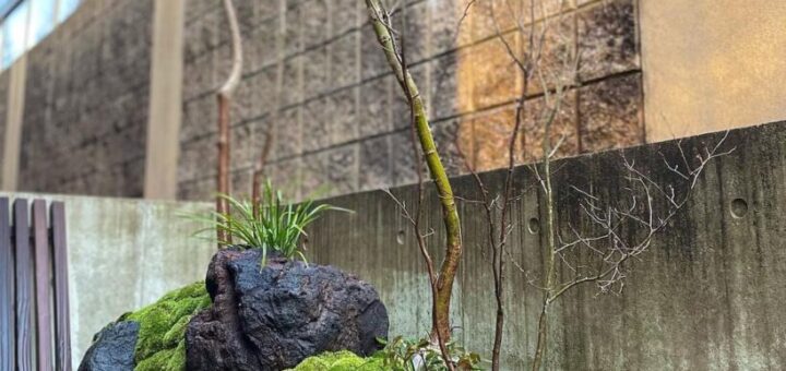 盆栽的坪庭と浅間石と鉄平石