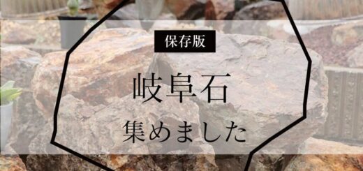 岐阜石、集めました