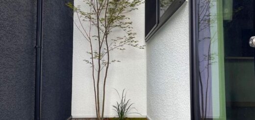 店舗兼住宅の植栽