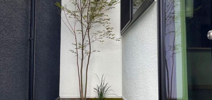 店舗兼住宅の植栽