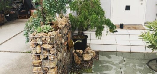 ガビオンと岐阜石