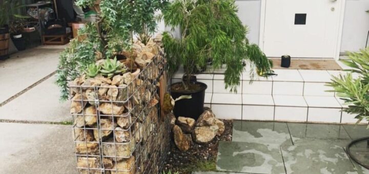 ガビオンと岐阜石