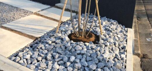 揖斐青白割栗石の通販