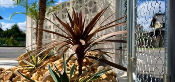 南国風ロックガーデン