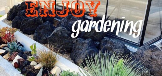 岡山から浅間石をお買い上げ頂きました。