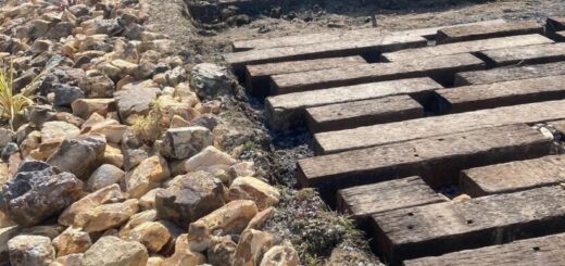 岐阜砂利 とマーブルブラウンクラッシュ を1：1で混ぜてみた