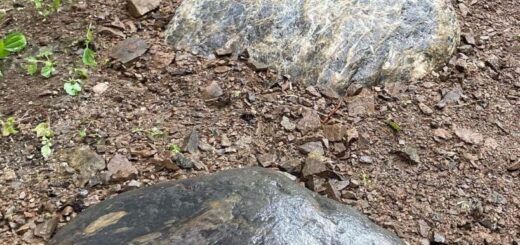 揖斐川石飛石 ご注文いただきました。