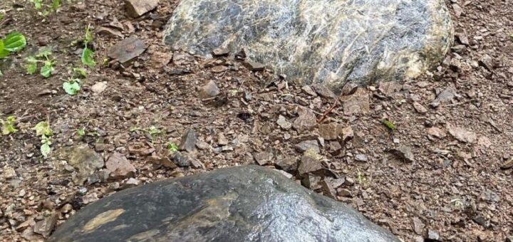 揖斐川石飛石 ご注文いただきました。