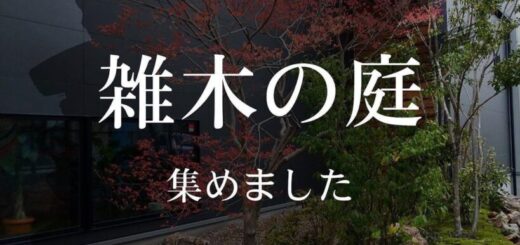 雑木の庭 集めました。