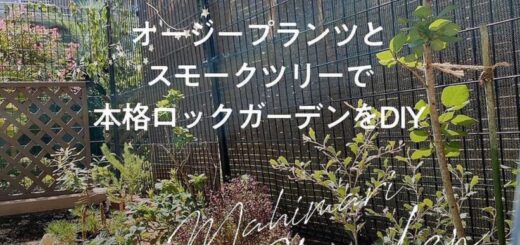 ロックガーデンの作り方