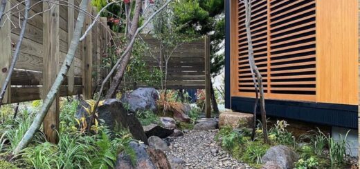 雑木の庭の中にある鉄平石のアプローチ