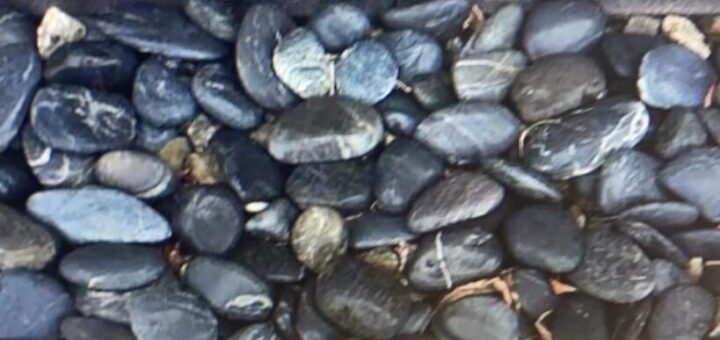 フィリピン産の那智石