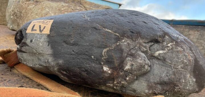 沓脱石の二番石