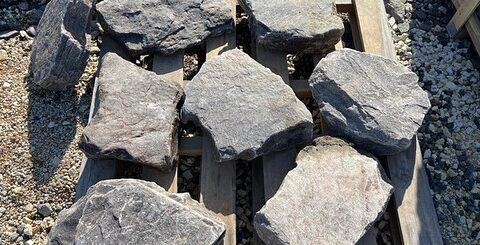 ボーダーストーンの飛石