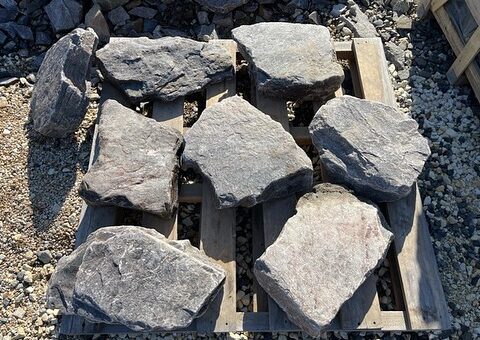 ボーダーストーンの飛石