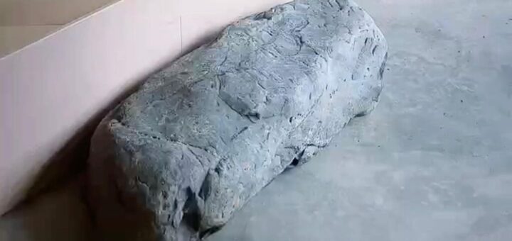 揖斐川石のウブの踏石