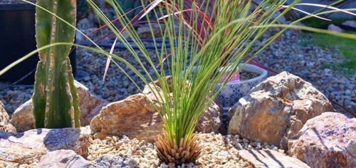 岐阜石でドライガーデン