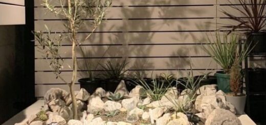 揖斐青白割栗石を使ったドライガーデン