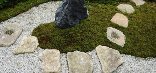 過去の施工例　枯山水の庭