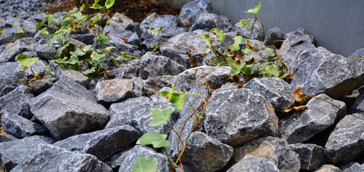 過去の作庭例ー揖斐青白割栗石の石敷き。