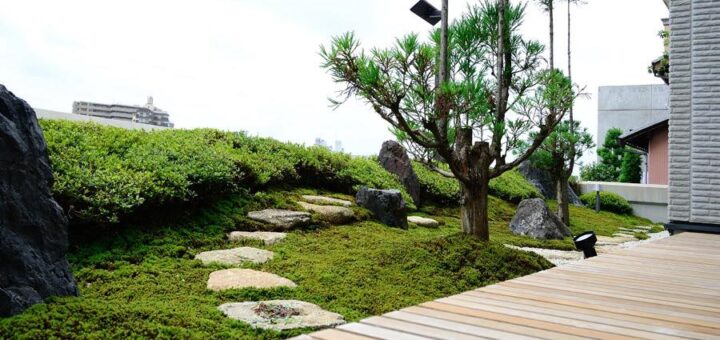 過去の施工例 　スギゴケ、台杉、飛石、さつき