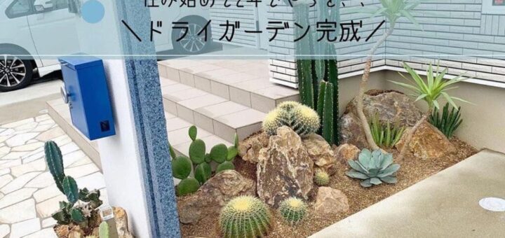 ドライガーデンの作り方