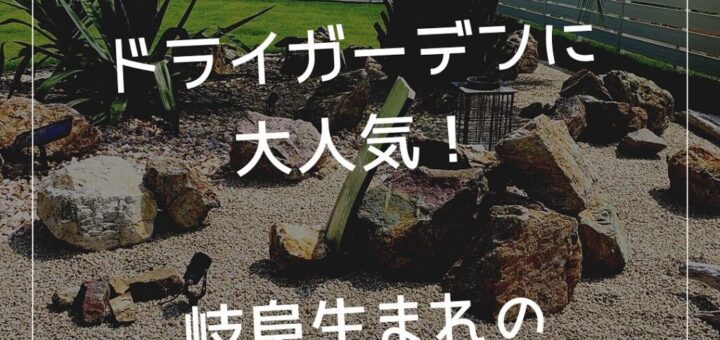 庭石のう・ん・ち・く ー岐阜石編ー