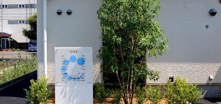 揖斐青白割栗石 の石敷き