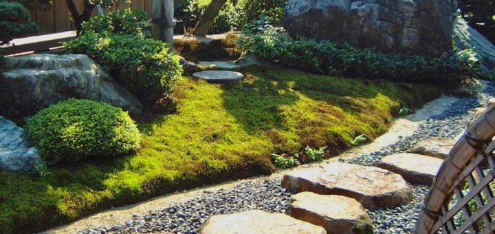 かれこれ20数年前に弊社で施工した和風庭園