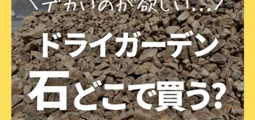 今回はドライガーデンの石を入手する方法に関してです