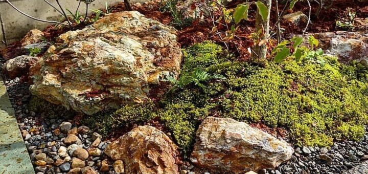 岐阜石、揖斐砂利を使った雑木の庭