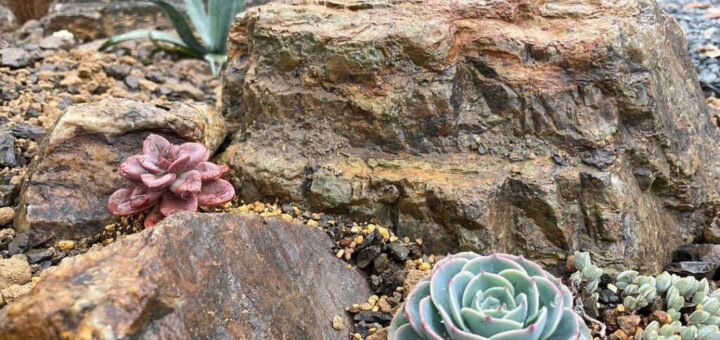 富士西麓ガーデンさん、岐阜石 をお買い上げ頂きました