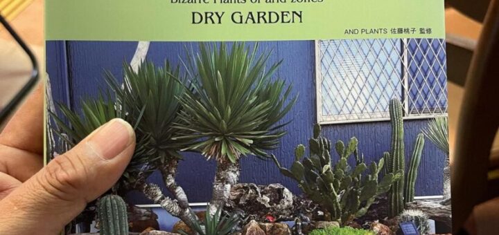 乾燥地帯の珍奇植物ドライガーデン日本文芸社