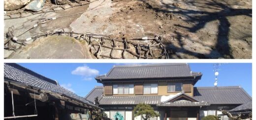 庭石の引っ越し