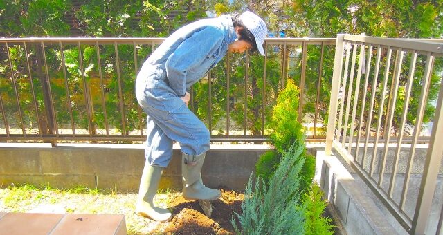 庭をDIYしたいがイメージがわかない。どんなアイデアがある？