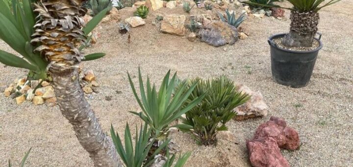 昨日の土曜日は2度目の揖斐川庭石センター