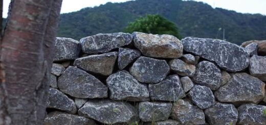 揖斐青白割栗石150-300mmの空練りの石積み