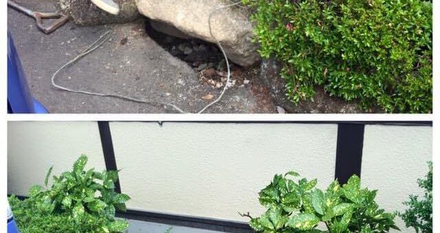 木曽石の据え直し