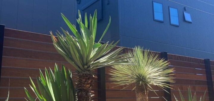 ECサイトよりマーブルブラウンロックをお買い上げ頂きました。