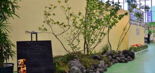 屋内での住宅フェアのディスプレイガーデン浅間石
