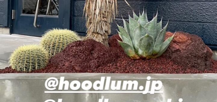 店舗の入り口前のドライガーデンスコリアとスコリアロック