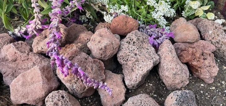 スコリアも草花との組み合わせも悪くないですね。